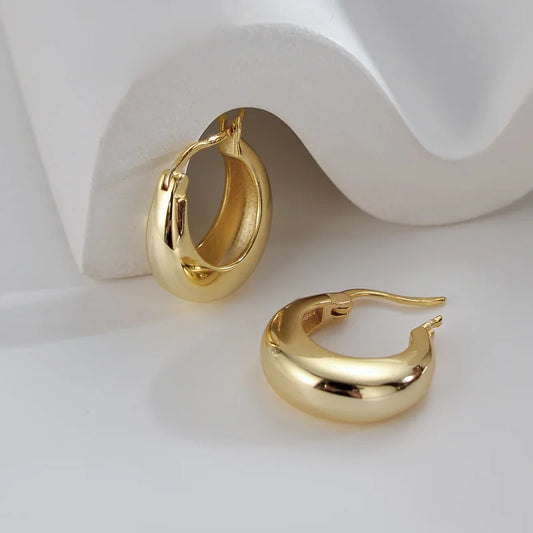 Chunky Hoop Earrings Geometric Circle 925 Sterling Silver